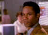 Tyus dans Savanna 1.jpg (43509 octets)