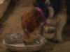 sunsetbeachep010022wq4.jpg (17469 octets)