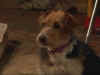 sunsetbeachep010024jf9.jpg (17437 octets)
